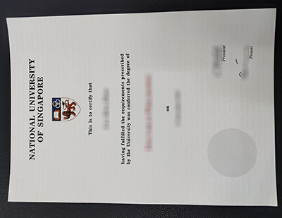 National University of Singapore degree, NUS diploma,