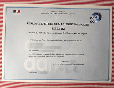 fake DELF B2 certificate