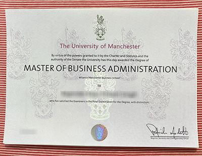 University of Manchester MBA degree