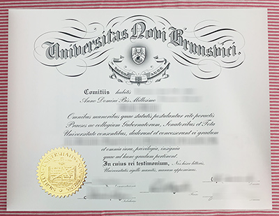 fake UNB diploma