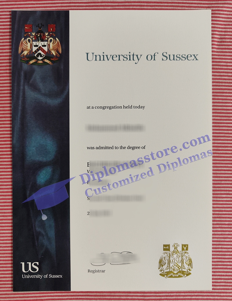 University of Sussex degree