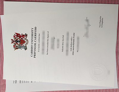 Cardiff University diploma