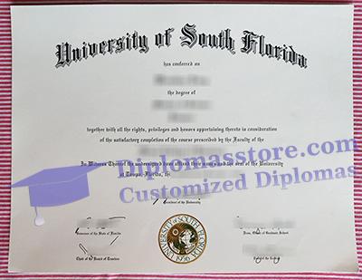 University of South Florida degree