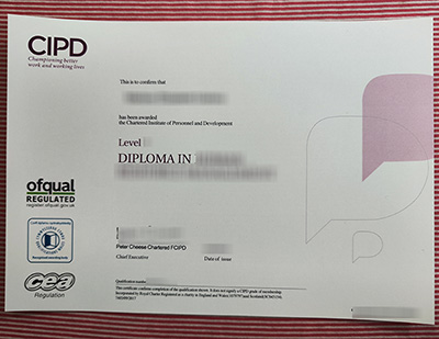 CIPD diploma