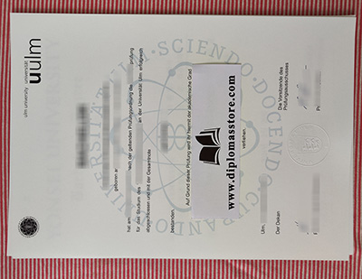 Universität ulm diploma