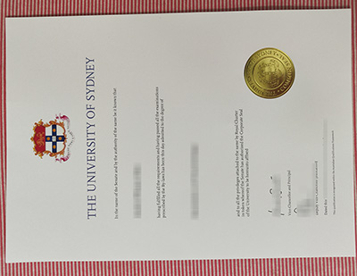 University of Sydney degree