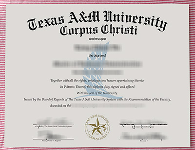 TAMU-CC diploma