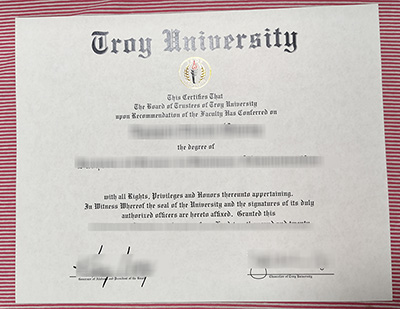 Troy University degree