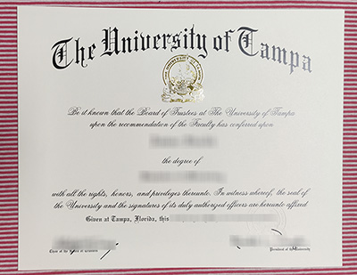 University of Tampa degree