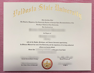 Valdosta State University degree