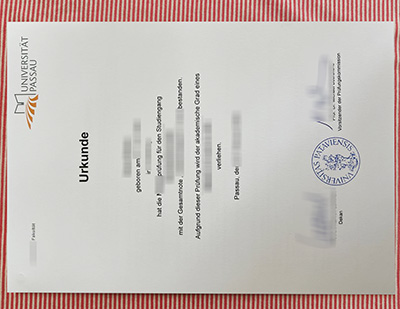 Universität Passau diploma