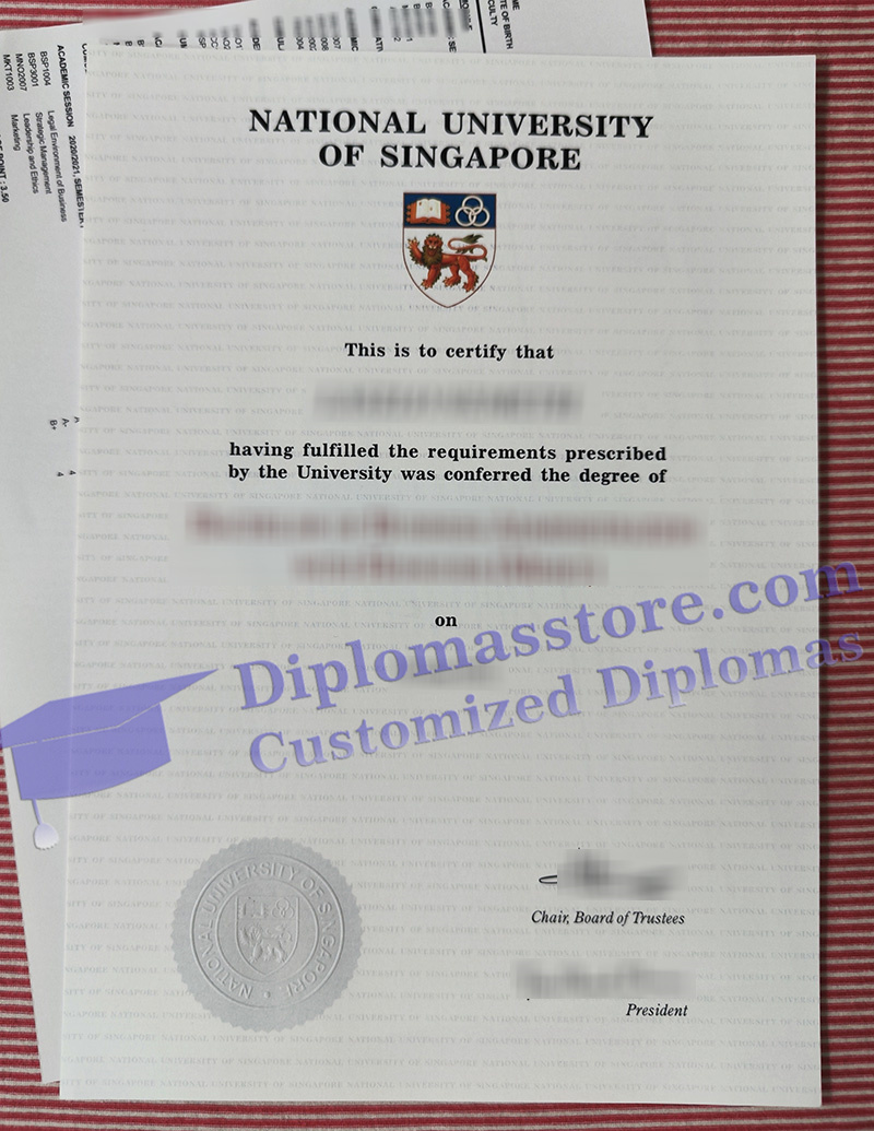 National University of Singapore degree, NUS diploma,