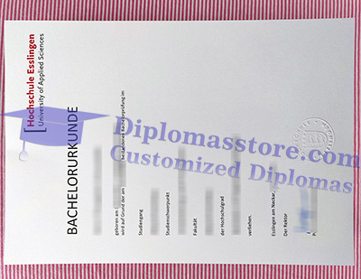 Hochschule Esslingen diploma