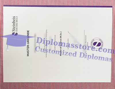 Steinbeis Hochschule diploma