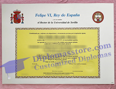 Universidad de Sevilla degree