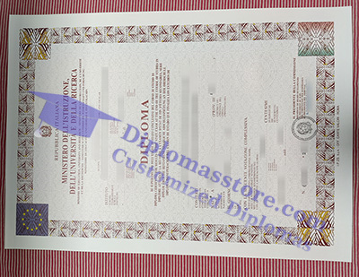 Ministero Dell'Istruzione diploma