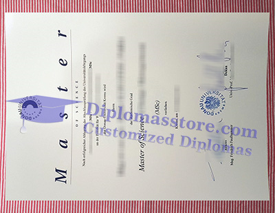 Donau-Universität Krems diploma