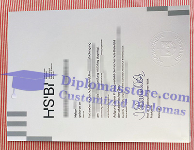 Hochschule Stralsund diploma