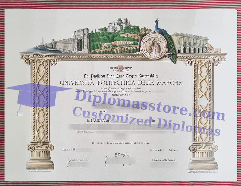 Università Politecnica delle Marche laurea, Università Politecnica delle Marche diploma,