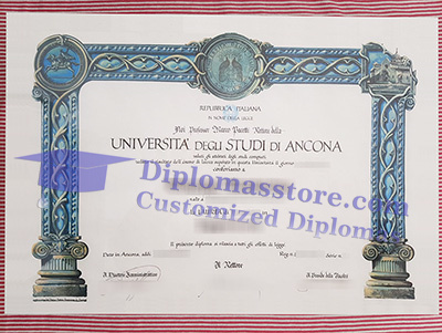 Università di Ancona degree