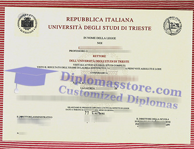 Università di Trieste degree