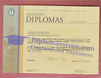 Vilniaus Universitetas certificate