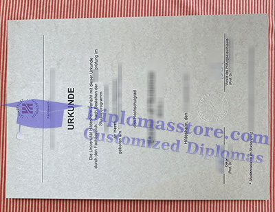 Universität Hildesheim diploma