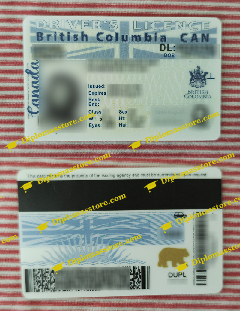 British Columbia Driver's licence 