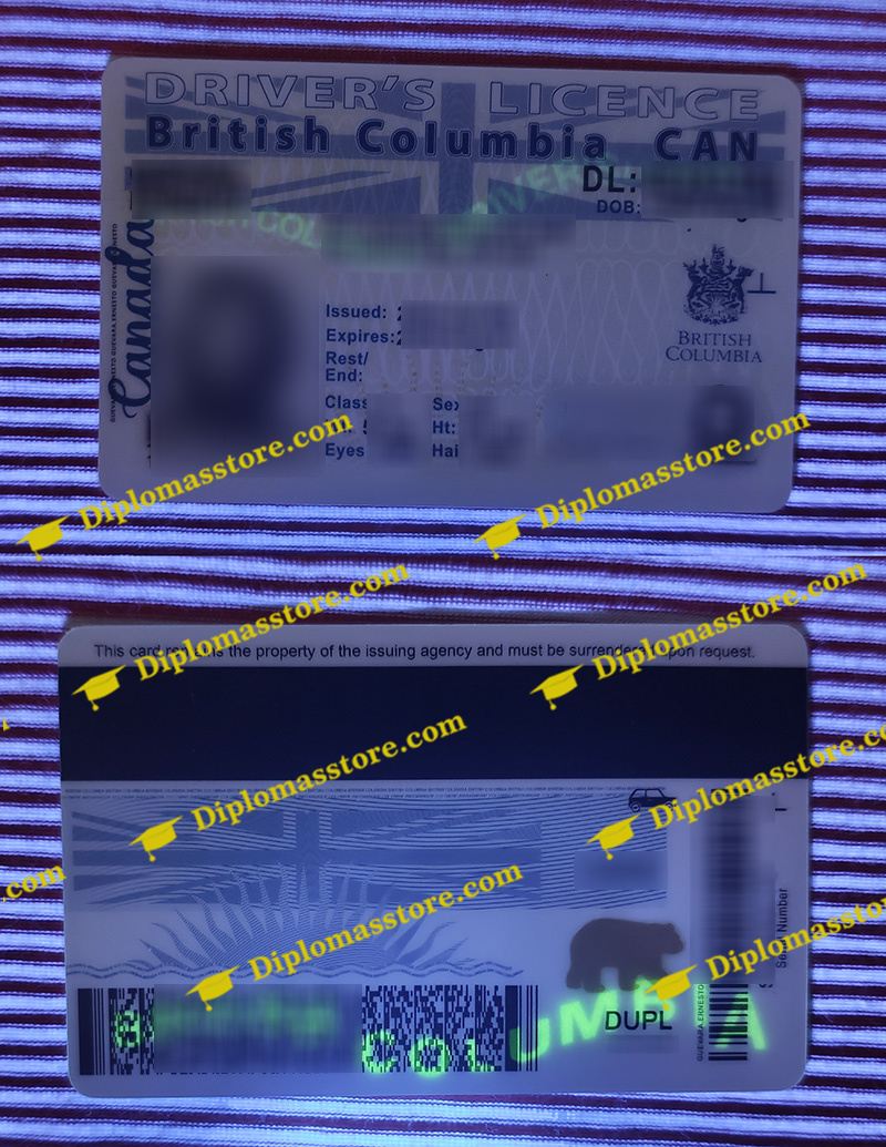 British Columbia ID, British Columbia driver licence,