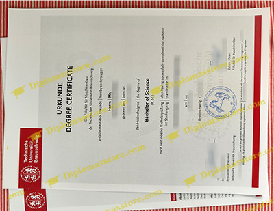 Technische Universität Braunschweig diploma