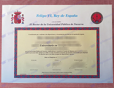 Universidad Pública de Navarra degree