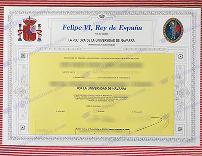 Universidad de Navarra degree