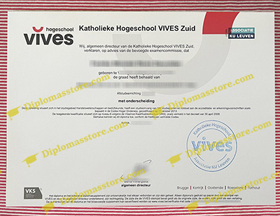 Hogeschool Vives certificate